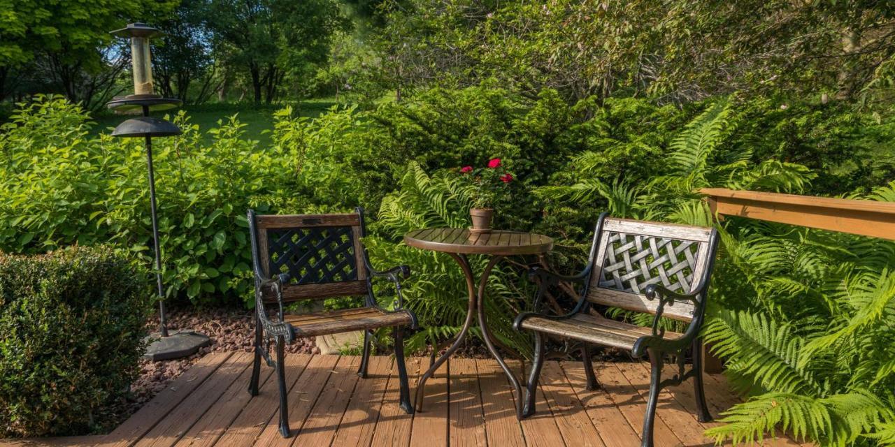Hawk Valley Retreat & Cottages 加利纳 外观 照片