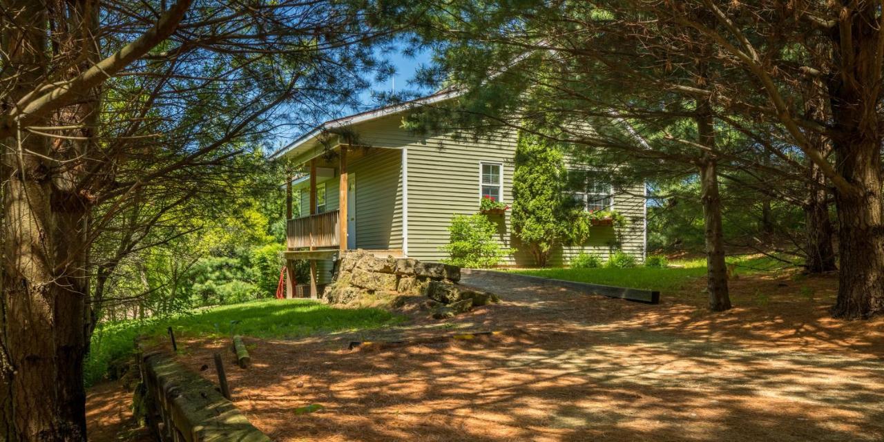 Hawk Valley Retreat & Cottages 加利纳 外观 照片