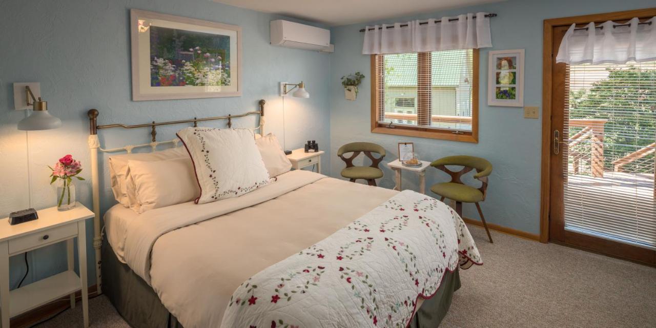 Hawk Valley Retreat & Cottages 加利纳 外观 照片